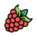 Choisir l'avatar framboise
