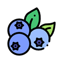 Choisir l'avatar myrtilles